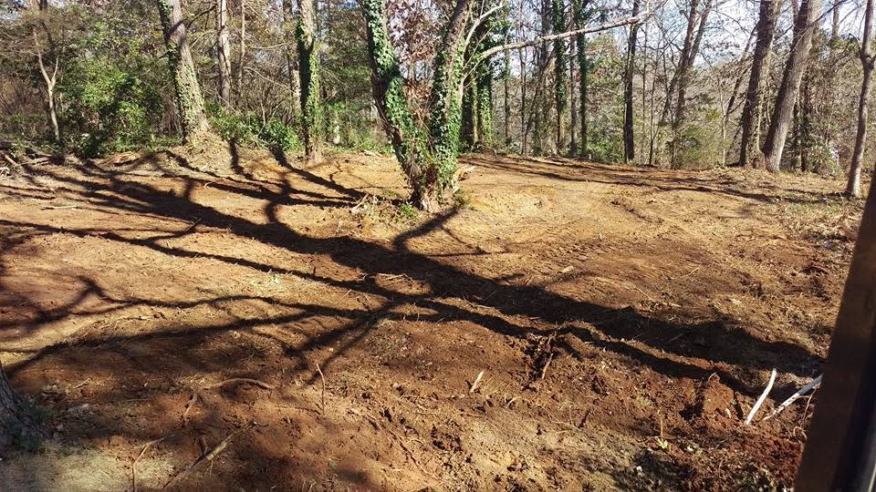 Freshly graded bare dirt on a wooded residential lot after septic system installation and backfill.