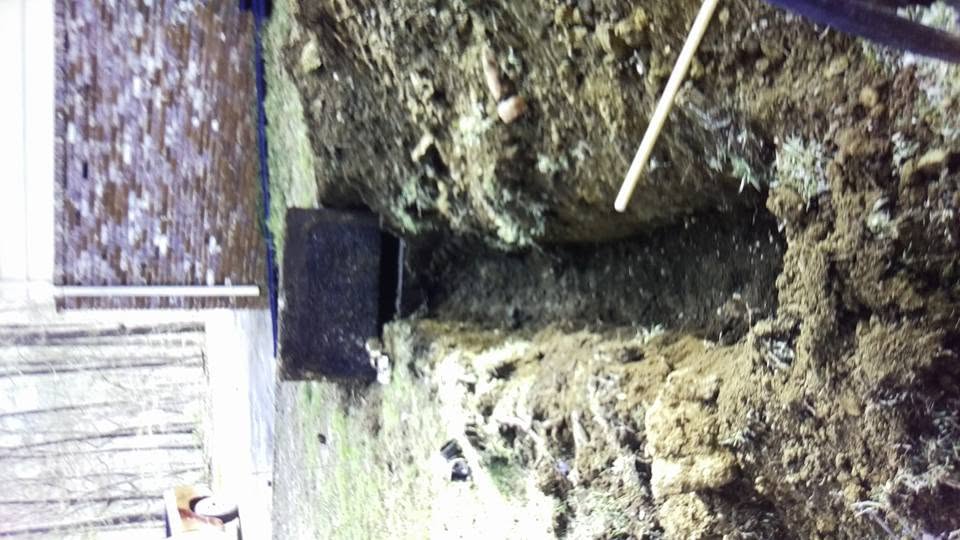 Open dirt trench leading to a small concrete septic distribution box beside a brick house, with a shovel resting in the soil.